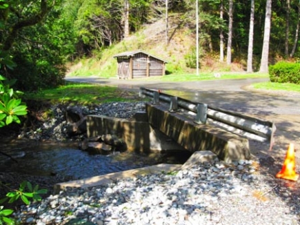 Bridge installed to improve fish passage